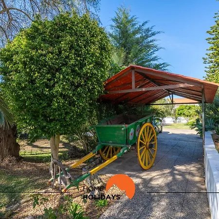 #213 Roja Pe By Holidays